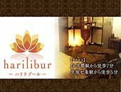 ハリリブール harilibur