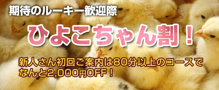 【3,000円OFF】ひよこちゃん割りで金の卵を発掘して♪|通常クーポン