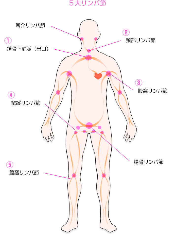 5大リンパ節 えっちなマッサージ屋さん 大阪店のフォト(大)