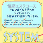 下着姿での性感エステ めもりあるのフォト(小)