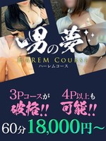 ハーレムちゃん (25) MY HONEY マイハニー 阪神店