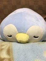 スタッフ ブログ (18) プレジデントオアシス