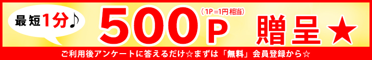 【リピート割引!】利用後にカンタンなアンケートに答えるだけ☆|通常クーポン